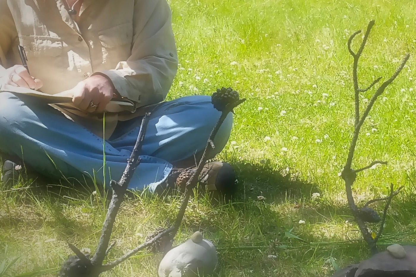 Person sitting on grass with small plants around, in the meadow in front of the yurt at The Gentle Wild