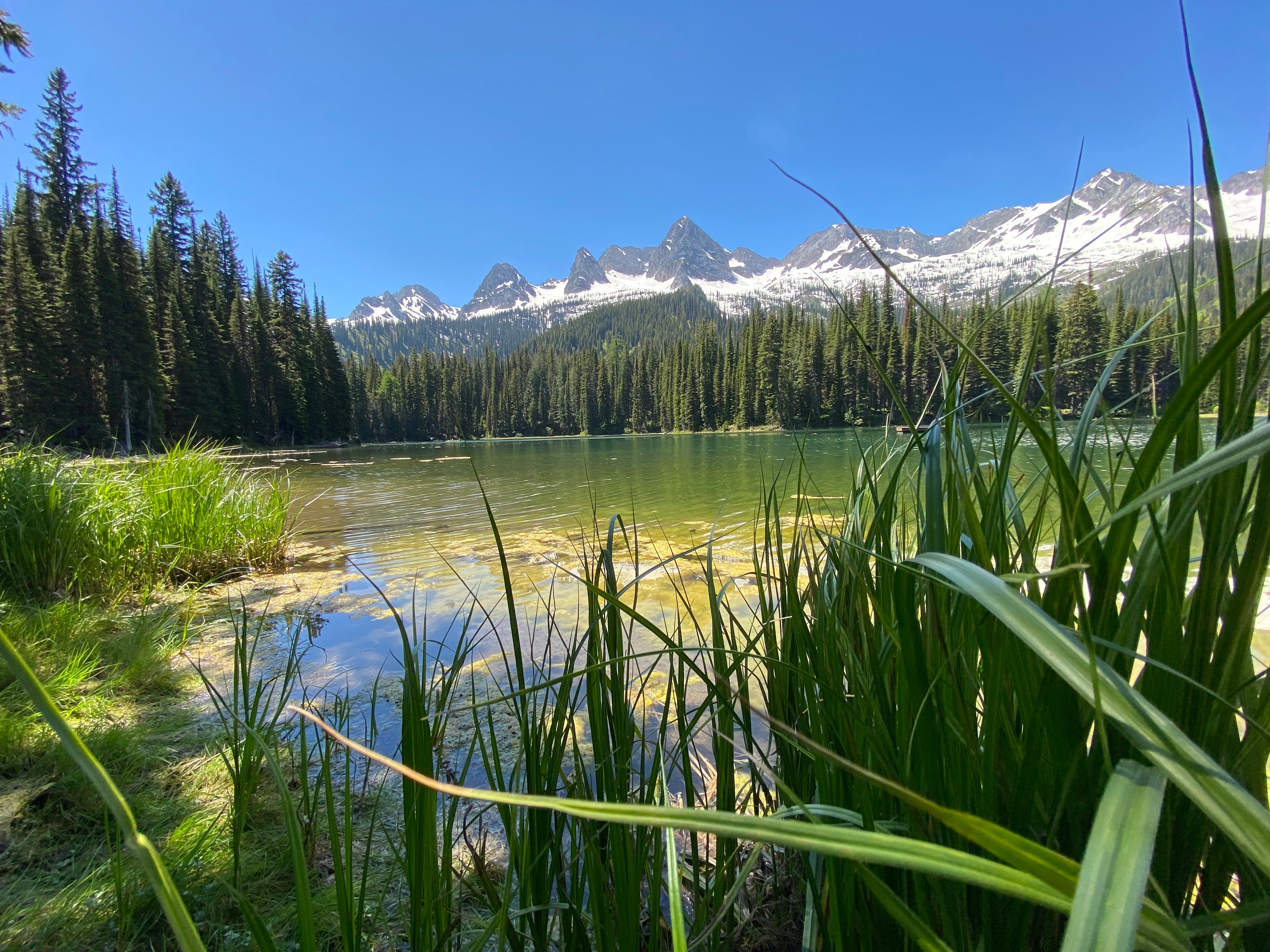 Reflection of a mountain and trees in a clear lake with greenery at the top. Photo credit to Sherri Phibbs at The Gentle Wild.